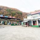 대이민박