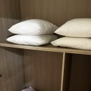 땡큐펜션 | 가평 애견동반 펜션_&#39;땡큐도그펜션&#39; 1박 2일 후기