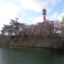 후쿠이18 - 후쿠이성 혼마루에 올라 성의 역사를! 이미지