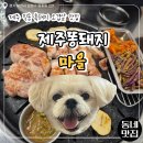 제주똥돼지마을 | [한입로그] 원종동 흑돼지 맛집 제주똥돼지마을 부천점 내돈내산 후기