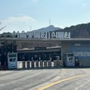 올라비양 | 3월 4월 국내 야외 서울 경기도 근교 가볼만한 곳 과천 서울대공원 동물원 자세한 후기