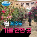 두루두루협동조합