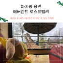 아기랑 에버랜드 로스트밸리 자리 명당, 볼 수 있는 동물들