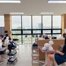 원애견샵 이미지