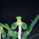 소3-3 Daum카페