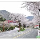 개좌골한우촌 이미지