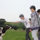 호진목장 이미지