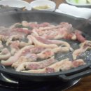 낭낭오리집 티스토리