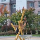 (주)노블건설 | [호려울마을 1단지] 세종 보람동 대방노블랜드 단지 내 임장후기