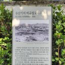 용산기지 옛 미군장교숙소(현 용산공원) | 용산공원 미군장교숙소 5단지의 가을 풍경