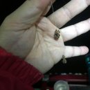 천성낚시터 이미지