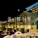 B-29당구장 | 가족여름휴가 '쏠비치 삼척' 펫없는 펫프렌들리룸 숙박후기