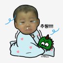 오늘도 미싱 - 제주시 | 오늘도 미싱