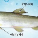 은어축제 문화유적탐방버스 이미지