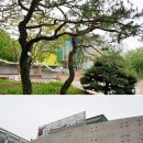 경기도박물관 이미지