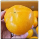 민재축산 이미지