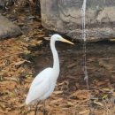 삼성천 | 아름다운 서울 근교의 뒷산! 호암산과 삼성산을 잇는 코스 도전 후기