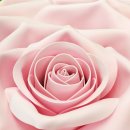 장미커피숍 이미지