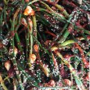 9월25일.김치(배추포기,열무얼갈이,알타리무,쪽파,나박물김치,절임오이),장류(전복,칠게),홍어무침,장아찌3종,숫꽃게간장게장 이미지