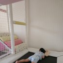 토리키즈풀빌라 | 양평 토리키즈풀빌라 A101호 34개월, 7개월 아이와 함께 이용한 후기