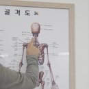 이마트24 내포산단점 | 내포 체형 교정 일자목 교정 바른자세교정원 후기