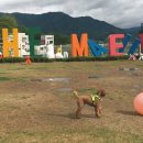 더 마을 핑크 이미지