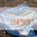 아미고파파