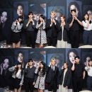 팜트리 이미지