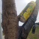 매일농원 이미지