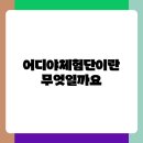 어디야 체험단 참여, 효과적인 홍보 전략 분석과 성공 요인