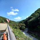 이상원미술관 Daum카페