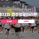 더레드커뮤니케이션즈