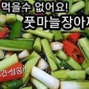 풋마늘장아찌 담그는법 봄철 장아찌 맛있는 간장비율 이미지