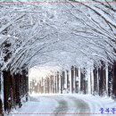 아름다운자리