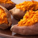 카디오짐 이미지