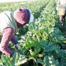 지만농장 이미지