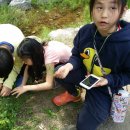 부명초등학교 이미지