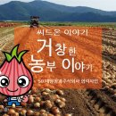 거창청과 이미지