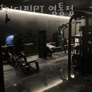 알브이디핏 PT 이미지