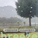 평창강로 | [영월 브리즈 카페] 영월 여행코스 섶다리 마을 감성 힐링 카페 🏔️