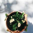 ㈜푸드홀릭에프앤비 스시홀릭 | 애슐리 퀸즈, 후기, 재방문의사 높음, 이래서 인기