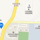 코디애견샵 이미지