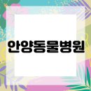 안양동물병원 이미지