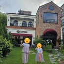 월든 - 춘천시 노루목길 11-6 | ​[대전 목동 카페] 동화 속 예쁜 정원이 있는 아늑한 감성 디저트 맛집 '카페 월든' 내돈내산 후기 🏡☕️🍰