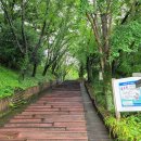 봉성산 공원 이미지