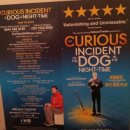 (공연) 국립극단 <세인트조앤>2 | ② 공연 천국, 런던! 12일간의 해외체험학습: 아이 러브 런던 1,2,3 (2015.1.19.~2.1)