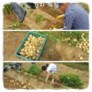 수촌농장 이미지