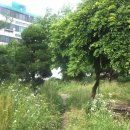 즐겨찾기공인중개사사무소 이미지