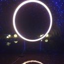 중부-현장-중부-363 | 태백여행, 드라마 보다 더 드라마틱한 갱도 여행(통리탄탄파크 &amp; 오로라파크)