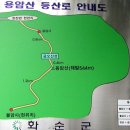 화순 김밥 이미지